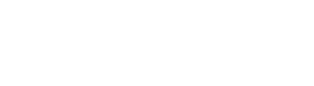 Nexora Logo