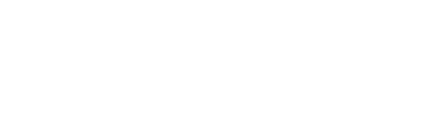 Nexora Logo